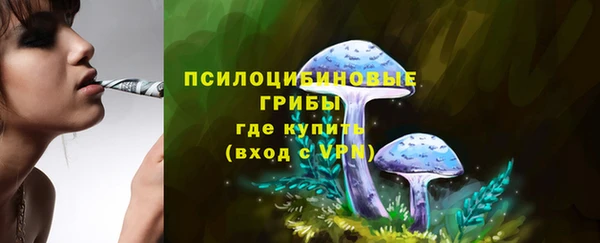каннабис Новодвинск