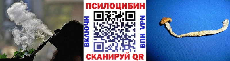 купить   Обнинск  Галлюциногенные грибы мицелий 
