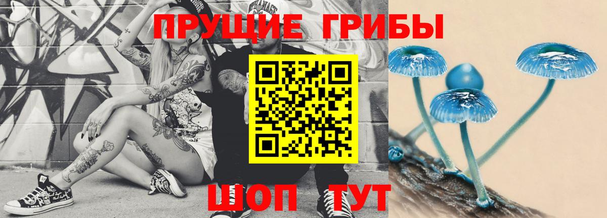 Обнинск  Галлюциногенные грибы Psilocybe  купить   Вход с VPN 